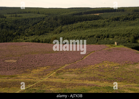 Skelton Tower follia Levisham Moor Agosto Heather volta North York Moors National Park in Inghilterra Foto Stock