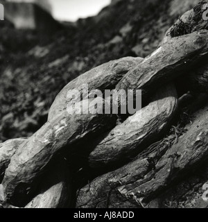 Close up della catena spessa Foto Stock