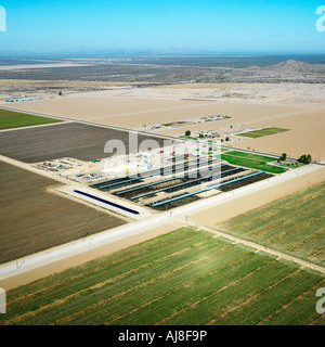 Vista aerea di terreni agricoli in Arizona Foto Stock