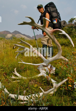 Un servizio del Parco Nazionale Ranger Backcountry sorge accanto ad un teschio di Caribou Coffee Company e palchi nel Parco Nazionale di Denali, AK, STATI UNITI D'AMERICA. Foto Stock