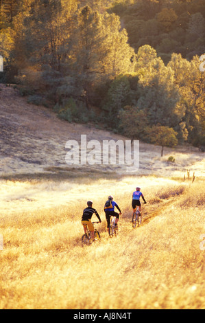 Bikers su Foresthill Divide Trail Foto Stock