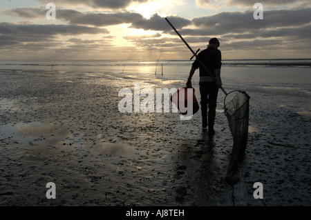 Un Texel kokkelvissers tradizionale o arricciatura pescatore la mattina presto a bassa marea sulla mazzetta Foto Stock