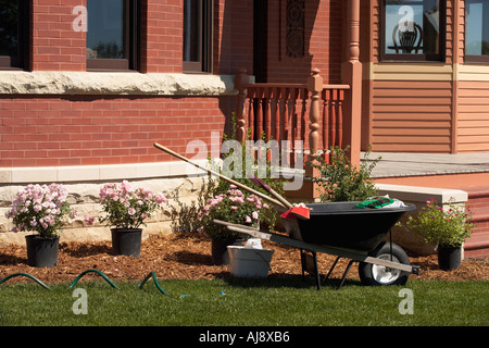 La piantumazione di siepi 1 Foto Stock