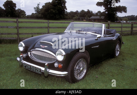 Austin Healey Foto Stock