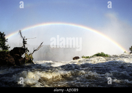 Victoria Falls nello Zambia, a pochi metri dal bordo delle cascate Foto Stock