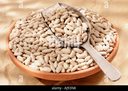 FAGIOLI ALUBIA Foto Stock