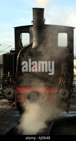 Achenseebahn pignone a cremagliera per la cottura a vapore del motore in alto Foto Stock