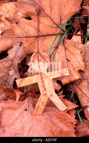 Foglia liying uomo sulla terra in autunno Foto Stock