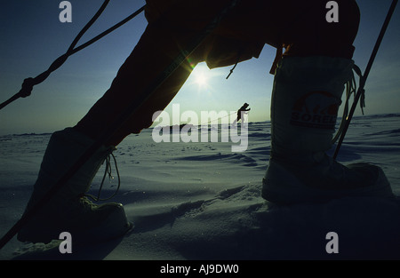 Royal Marines alaggio slittini attraverso il gelido Artico mare in 55 gradi C Foto Stock