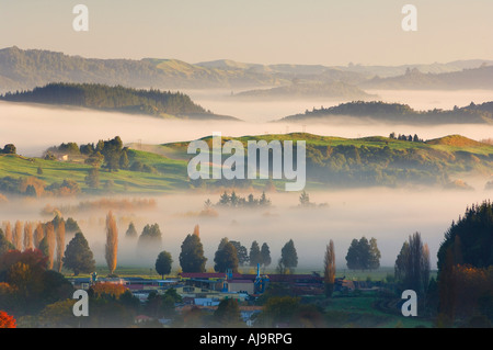 Terreni agricoli, Te Kuiti Township, Isola del nord, Nuova Zelanda Foto Stock