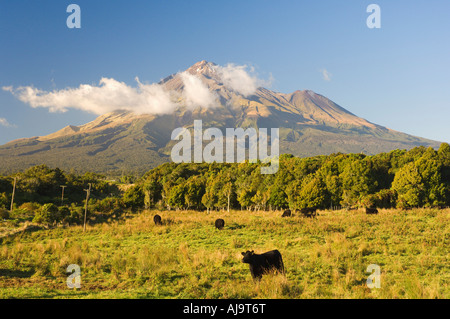 Mount Taranaki, Isola del nord, Nuova Zelanda Foto Stock