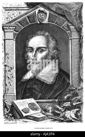 William Harvey (1578-1657) medico inglese, c17th secolo. Artista: sconosciuto Foto Stock