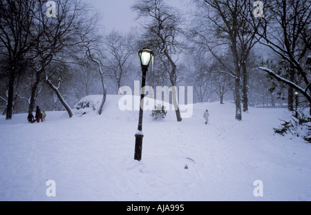 Un ghiacciolo pende da una lampada posta in caso di neve a Central Park di New York. Foto Stock