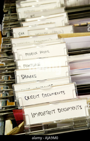 Dettaglio di un armadio archivio con le schede etichettate per documenti importanti documenti di credito etc Foto Stock