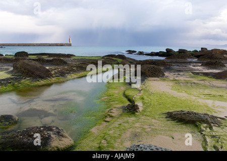 Porto di Tarifa, Costa de la Luz, Cadice, Andalusia, Spagna. Foto Stock