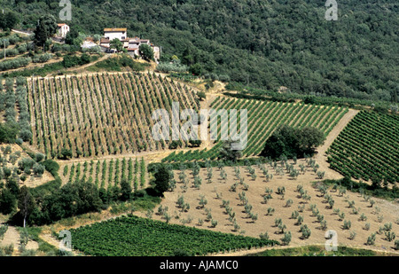 Vicino a Castellina in Chianti case e vigneti Foto Stock