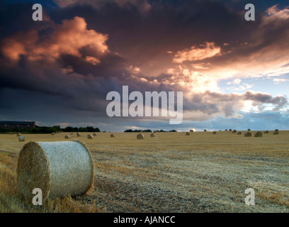 Raccogliere tempesta su terreni agricoli superiore Whitley CHESHIRE REGNO UNITO Foto Stock