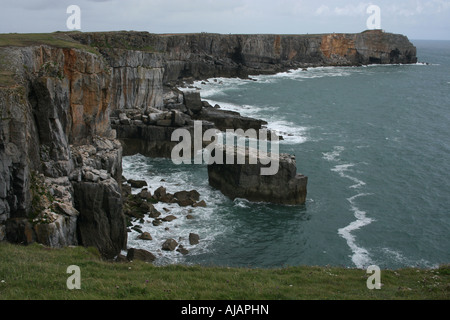 Guardando ad est da St Govans Testa, Pembrokeshire Foto Stock