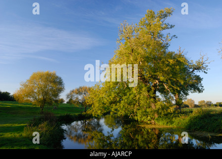 Grantchester Meadows e il fiume Cam Inghilterra Cambridge Regno Unito Foto Stock