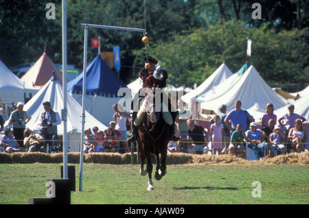 Competenze al caso di armi tra cui arance a Lancing Foto Stock