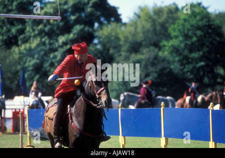 Competenze al caso di armi tra cui arance a Lancing Foto Stock