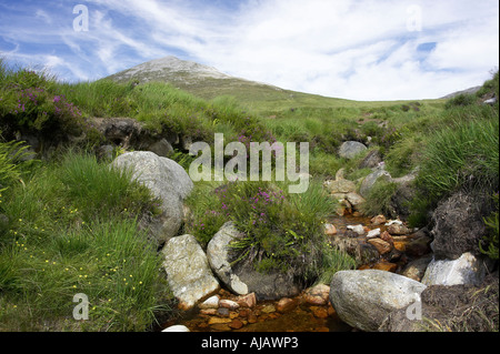 Ruscello di montagna attraverso la torbiera a Errigal mountain donegals picco più alto contro un cielo blu tra dunlewey e gweedore Foto Stock