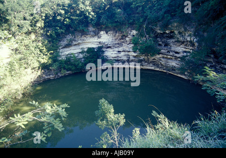 Sacro Cenote a Chichen Itza, Yucatan, Messico Foto Stock