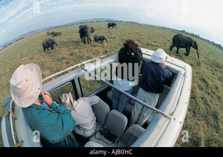 Turisti e gode di una vista panoramica di elefanti nella Riserva Nazionale di Masai Mara Kenya Africa orientale Foto Stock