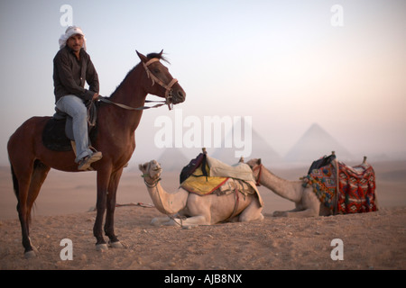 Cavaliere a cavallo guida turistica con i cammelli in seduta la mattina presto alba con piramidi distanti di haze nebbia al di là di Giza Cairo Egitto Foto Stock