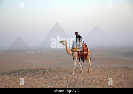 La guida a piedi su un cammello nel deserto pietroso di prima mattina nebbiosa opaco alla luce del sole con le piramidi di Giza a distanza Il Cairo Egitto Af Foto Stock