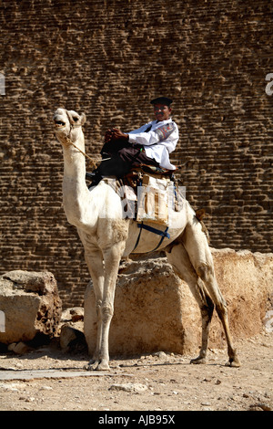 Turismo egiziano poliziotto polizia seduto su un cammello guardia piramidi complesso con la Grande Piramide di Cheope Khufu al di là di Giza C Foto Stock