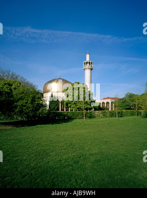 Centrale la moschea di Londra che si eleva al di sopra di alberi in Regent's Park architettura islamica edificio HXXZsmng Foto Stock