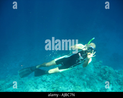 La subacquea immagine del nuoto subacqueo in Mar Rosso presso il Canyon sito di immersione nei pressi di Dahab Sinai Egitto Foto Stock
