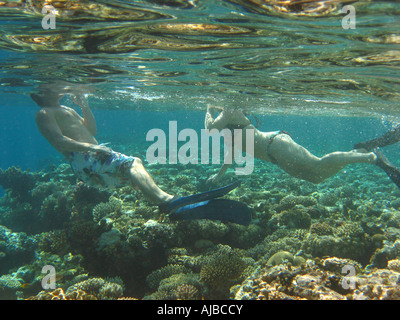 La subacquea immagine di due subacquei lo snorkeling in Mar Rosso presso il Canyon sito di immersione nei pressi di Dahab Sinai Egitto Foto Stock