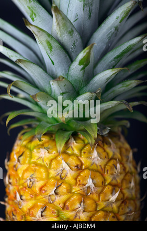 Ananas telaio completo Foto Stock