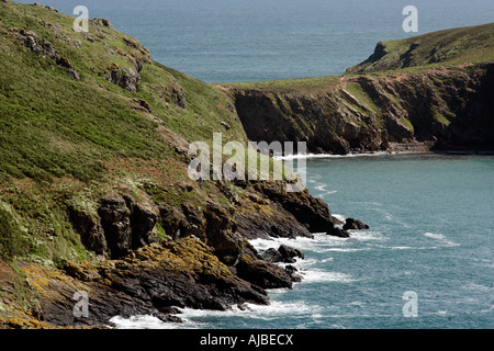 Skomer Isalnd off del Galles occidentale a casa per le pulcinelle di mare Foto Stock