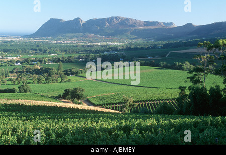 Groot Constantia Vigna Scenic - Vista in elevazione Foto Stock