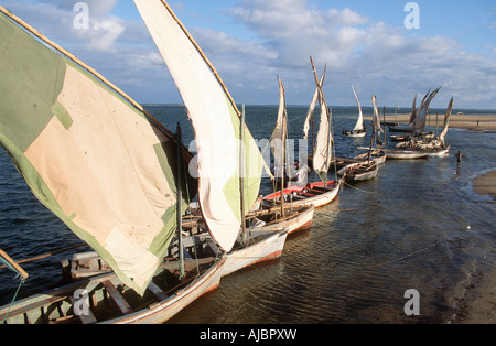 Linea di Dhows sull'Oceano Indiano Foto Stock