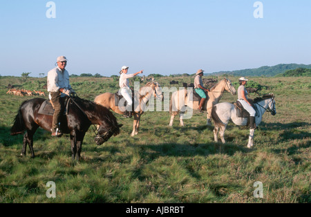 Equitazione Safari Foto Stock