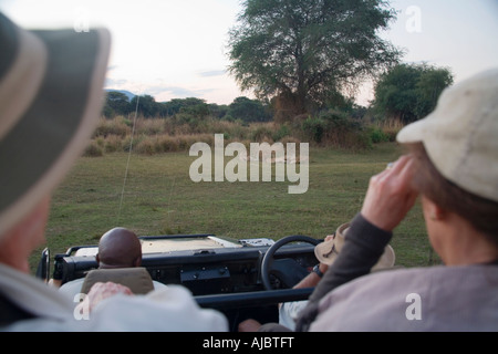 I turisti su Safari Game Drive Visualizzazione di Lion (Panthera leo) orgoglio Foto Stock