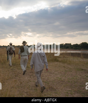 I turisti in una visita gioco safari a piedi - Vista posteriore Foto Stock