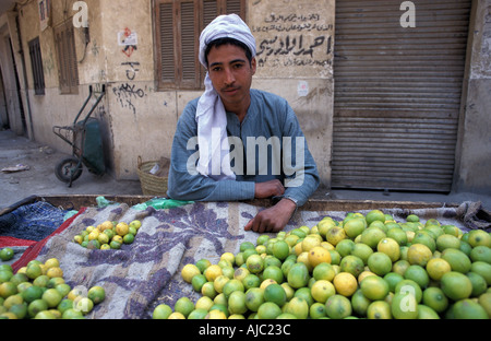 Agrumi produttore presso la sua stalla Luxor s street market Egitto Foto Stock