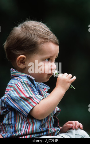 Ragazzo giovane Odorare un fiore Foto Stock