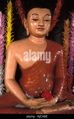 Statua di Buddha che si trova sotto un albero Bodhi Pipal Ficus religiosa a Sarnath Uttar Pradesh, India Foto Stock