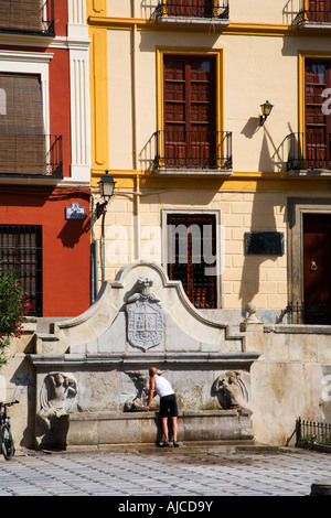 Il raffreddamento a una fontana in Plaza de Santa Ana Granada Spagna Foto Stock