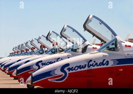 AIR SHOW Snowbirds team il lavoro di squadra Foto Stock