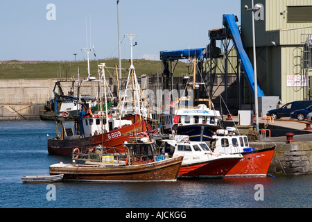 Regno Unito Irlanda del Nord la contea di Down Ardglass barche da pesca ormeggiate nel porto Foto Stock