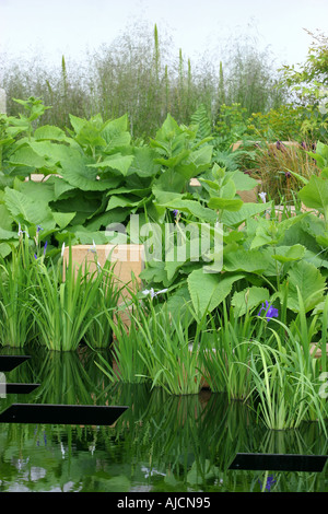 MERRILL LYNCH GARDEN DESIGNER ANDY STORIONE Chelsea Flower Show 2005 Foto Stock