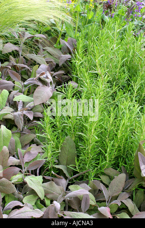 MERRILL LYNCH GARDEN DESIGNER ANDY STORIONE Chelsea Flower Show 2005 Foto Stock