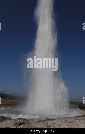 Il geyser Strokkur incendi vapore e acqua bollente fino ad una altezza di circa 20m a Storr Geysir Haukadalur south central Islanda Foto Stock